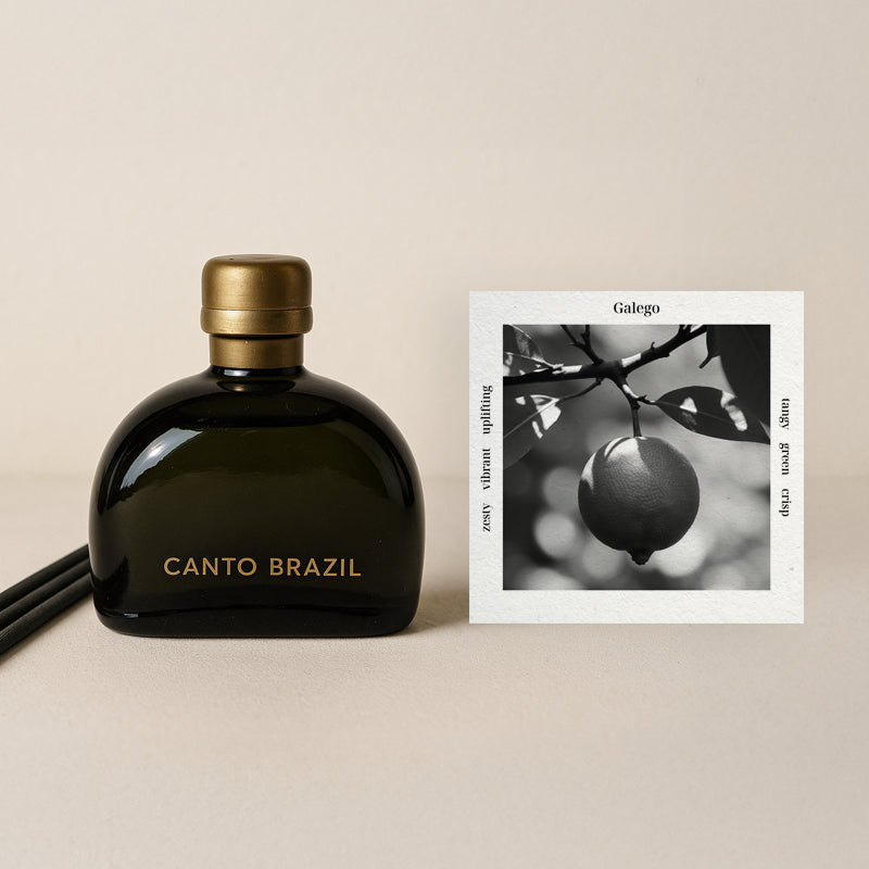 Galego - Reed Diffuser