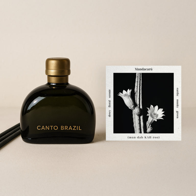 Mandacarú - Reed Diffuser