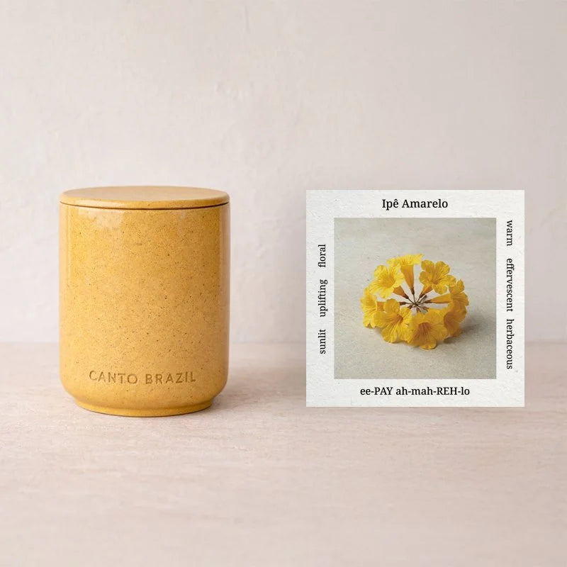 Ipê Amarelo Spring 2026 - Wood Wick Candle